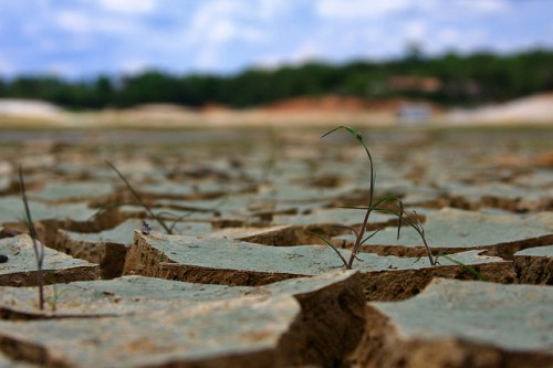 Tener la capacidad de predecir podría resultar en alertas anticipadas para agricultores y funcionarios de gobiernos locales, para que tomen medidas con el fin de evitar incendios forestales y serios daños a los bosques, a la propiedad y los cultivos, dijeron investigadores que trabajan para el Centro para la Investigación Forestal Internacional. Fotografía cortesía de: Hudson Alves