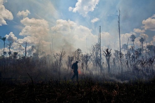 Como parte de la colaboración tripartita , los investigadores reunen datos sobre el clima, el uso del fuego, y el desarrollo de herramientas para prevenir incendios. Fotografía de: Ernesto Benavides