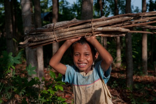 Seorang anak laki-laki mengumpulkan kayu bakar di Nusa Tenggara Timur, Indonesia. Pentingnya hutan untuk energi dan penghidupan membuat hutan penting untuk dimasukkan dalam Sustainable Development Goals. Foto oleh CIFOR