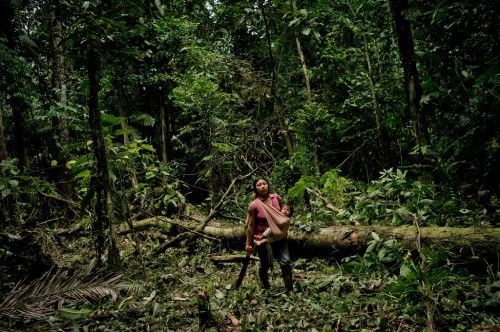 Mujer kichwa toma un descanso antes de continuar cortando árboles en el bosque. Ella y su esposo están limpiando un área para sembrar maíz para alimentar a su ganado, cerca del Río Napo, en la provincia de Orellana, Ecuador. Los Objetivos de Desarrollo Sostenible buscan integrar la gestión forestal, la agricultura y otros sectores en un esquema coherente. Fotografía: Tomas Munita/CIFOR