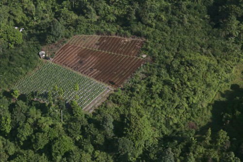 Vista aérea de un bosque y un paisaje agrícola cerca del Parque Nacional Halimun Salak, Java Occidental, Indonesia. Fotografía: Kate Evans/CIFOR