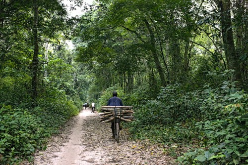 On the way from Kisangani to Masako village. Democratic Republic of Congo. Photo by Ollivier Girard for Center for International Forestry Research (CIFOR).