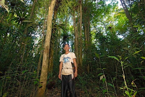 Habitante del bosque en Kalimantan Occidental, Indonesia. Los resultados preliminares de la investigación realizada en Indonesia muestran que los habitantes del bosque realizan una vigilancia eficaz del carbono almacenado en los bosques, pero deben obtener algo a cambio si se desea que esta labor continúe. Fotografía de CIFOR.
