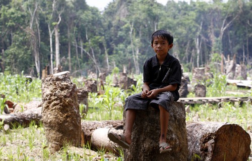 Un niño sentado en un tocón en Kalimantan Central, Indonesia. Según estudios recientes, las comunidades forestales, como a la que el niño pertenece, pueden ayudar a reducir las emisiones de carbono, siempre y cuando se les reconozcan los derechos legales sobre sus bosques. Fotografía de Achmad Ibrahim / CIFOR.