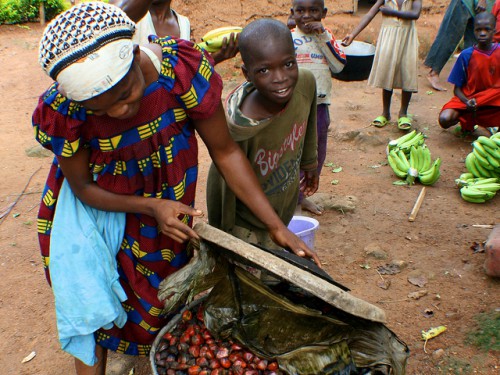 Asando alimentos en Camerún. Nueva investigación resalta los diferentes papeles que los productos forestales no maderables desempeñan, o podrían desempeñar, en paisajes más amplios. Foto Terry Sunderland/CIFOR.