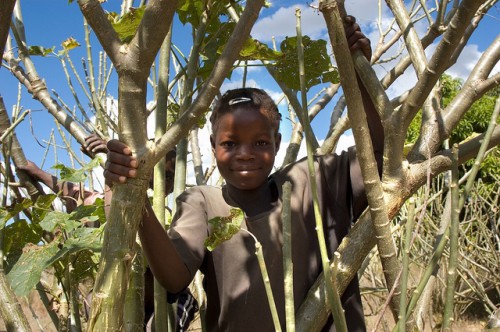 Jeff Walker/CIFOR photo