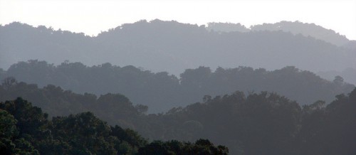 Landscape in Uganda. Photo by Douglas Sheil for Center