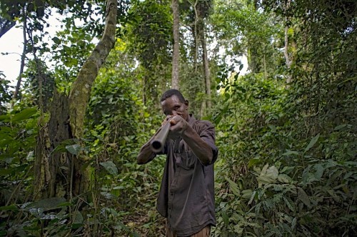 Un chasseur dans la Réserve de Tumba-Lediima, République démocratique du Congo. La chasse de viande de brousse ne cessera pas à moins que les populations locales sont offerts une alternative, un expert du CIFOR dit. Ollivier Girard/CIFOR photo