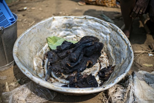 La viande de singe est en vente au marché Moutuka Nunene à Lukolela, en République démocratique du Congo. La viande de brousse est une nourriture préférée des Centrafricains urbaines et rurales même. Photo by Ollivier Girard for Center for International Forestry Research (CIFOR).