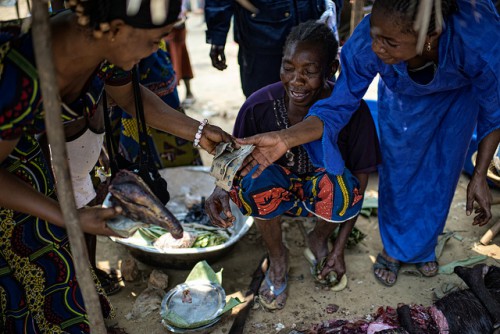 Les femmes vendent la viande de brousse au marché à Lukolela, en République démocratique du Congo. La viande de brousse représente entre 30 et 80 pour cent de l'apport de protéines des personnes en Afrique centrale, la recherche du CIFOR a trouvé. Ollivier Girard/CIFOR photo