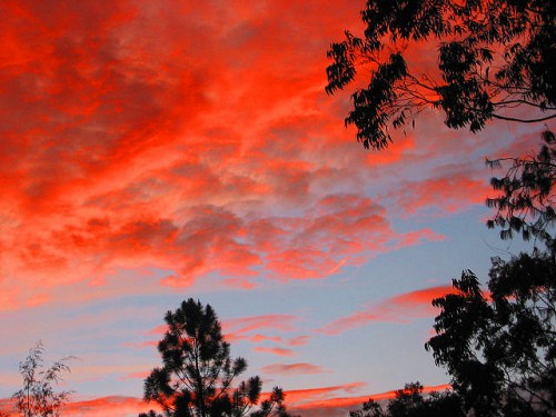 Awan merah di timur Papua Nugini. Apakah matahari akan terbenam untuk REDD+ dan skema berbasis pasar lain yang bertujuan mengurangi deforestasi? Foto milik Kahunapule Michael Johnson