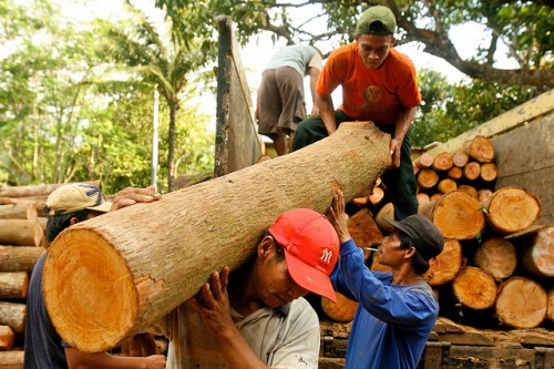 Pekerja menurunkan kayu jati di Jepara, Jawa Tengah, Indonesia. Beberapa konservasionis kini mengusulkan penggabungan wilayah terlindung dengan konsesi penebangan untuk menjaga lanskap hutan lebih luas daripada yang mungkin ada melalui wilayah terlindung sendiri, tulis peneliti CIFOR. Klik di sini untuk membaca lebih lengkap. Murdani Usman/Foto CIFOR.