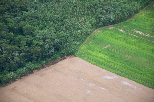 Bosques y tierras de cultivo en Santa Cruz, Bolivia. Este país sudamericano, famoso por haber concedido derechos legales a la naturaleza se encuentra ante una encrucijada: cómo conservar sus bosques y, al mismo tiempo, alcanzar la soberanía alimentaria. Fotografía de Sam Beebe / Flickr.