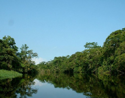 Bosques cerca de la costa atlántica de Brasil. Los esfuerzos del país por restaurar sus bosques atlánticos han tenido éxito en parte debido a la participación de los grupos de interés y a que se tomaron en consideración todos los usos del suelo, no solo la conservación. Fotografía de Robertcurtin / Flickr.