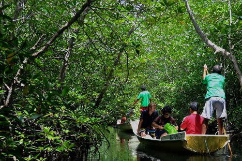 Bosques de manglares en Nusa Lembongan, Indonesia. Los esfuerzos de restauración de manglares en todo el sudeste de Asia se enfrentan a los esfuerzos por expandir las granjas de acuicultura costeras. Fotografía de CIFOR.