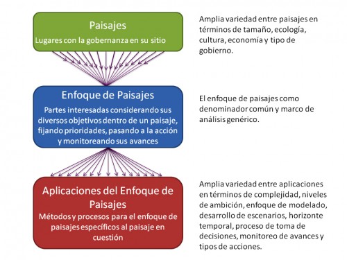 CUADRO ENFOQUE DG copia