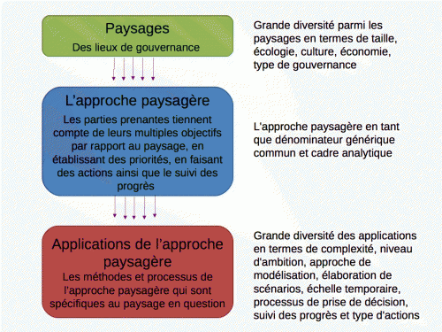 DG Negotiating the landscape CHART_translation EW