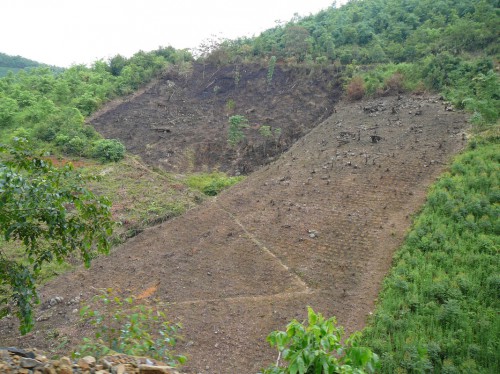 Ladera deforestada en China, donde el Gobierno está tratando de reforestar las tierras de pendiente para evitar la erosión. Fotografía de Nick Hogarth / CIFOR.