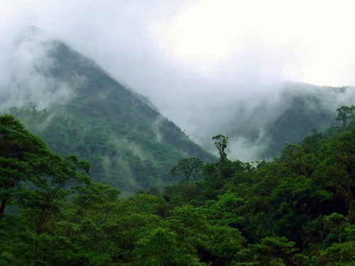 Alto Mayo, Peru, di wilayah Barat Amazon—satu dari tujuh “bentang alam penjaga” dimonitor dalam rentang waku oleh para ilmuwan. Bruno Locatelli/CIFOR photo