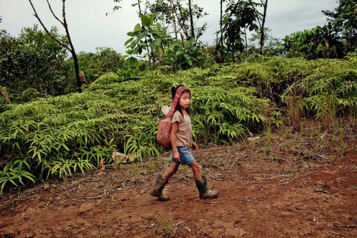 Pobladores quechuas cruzan un puente sobre el río Jondachi en la Amazonia ecuatoriana para vender su cosecha. Cada vez más, los indígenas amazónicos ven sus medios de vida puestos a prueba por la globalización y el cambio climático. Fotografía de Tomas Munita / CIFOR.