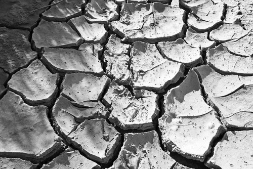 Nuevas investigaciones evidencian el efecto de los bosques sobre las precipitaciones en la Amazonia, y revelan que de continuar la deforestación, las lluvias en el sur de Brasil continuarán siendo afectadas. Fotografía de Flickr.