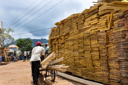 Wood Seller-wood quality is related to sawmill waste, - Montée Parc Market, - Yaoundé, Cameroon.