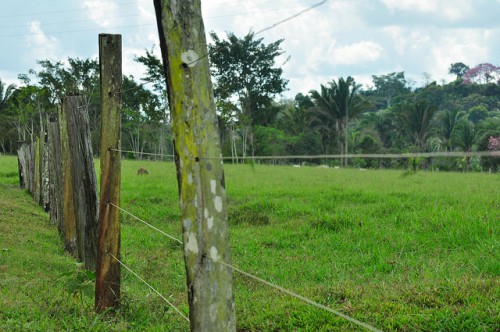 Tierras cercadas en zona boscosa de Mato Grosso, Brasil. Foto Icaro Cooke Vieira / CIFOR.