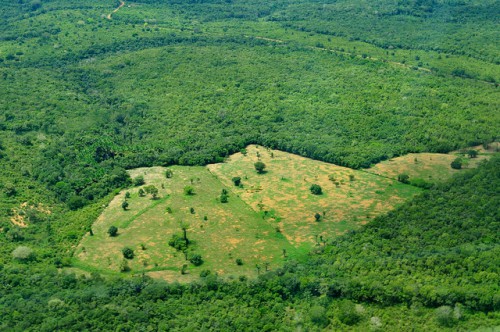 Área de tierra agrícola en la Amazonia brasilera, cerca de Manaos. Un estudio reciente examina el uso de combinación de políticas como herramienta para desincentivar la deforestación. Neil Palmer/CIFOR