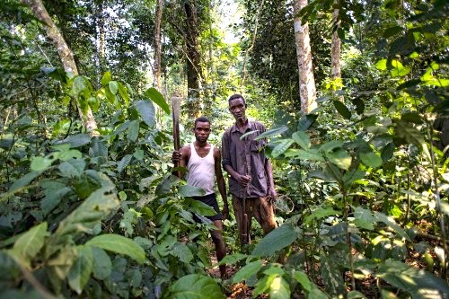 Hunters in the Tumba-Ledima Reserve, Democratic Republic of Congo. A study has examined tension among different groups of forest users in Central Africa. Ollivier Girard/CIFOR photo