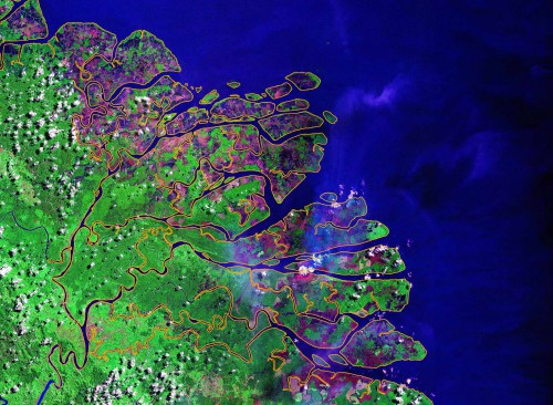 Citra satelit pesisir Kalimantan. Apakah citra satelit cara terbaik melakukan penilaian menyeluruh apa yang terjadi di lapangan? Kredit photo dari Landsat.