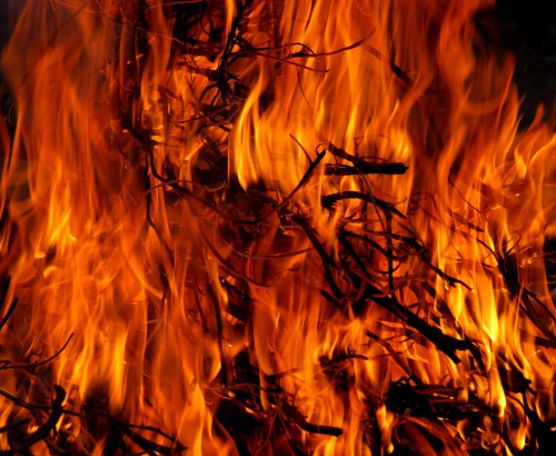 Una nueva investigación sobre las causas de los incendios en la Amazonía occidental brinda luces sobre la gestión de incendios, la adaptación y la mitigación de los daños.