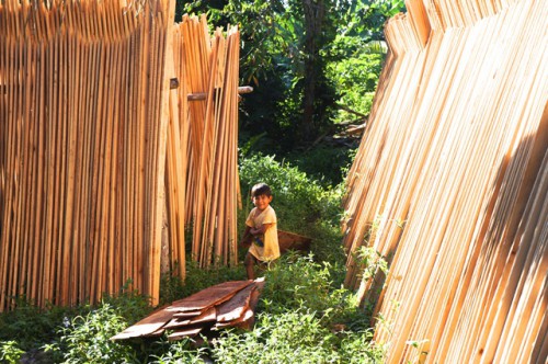 El comercio de madera de origen tropical es importante para los medios de vida de millones de personas en los países productores. La formalización de estas operaciones presenta riesgos, pero también puede significar recompensas. Foto: Aoife Bennet-Curry/ CIFOR.