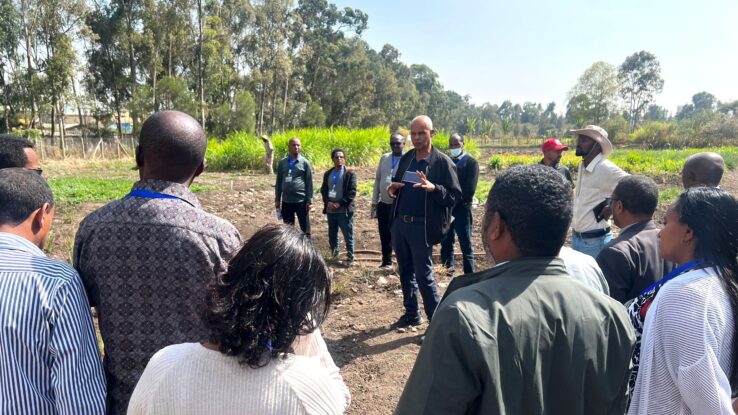 Strengthening seed systems under Regreening Africa II
