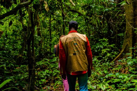 SWM field team walking through dense forest during participatory mapping in southern Cameroon
