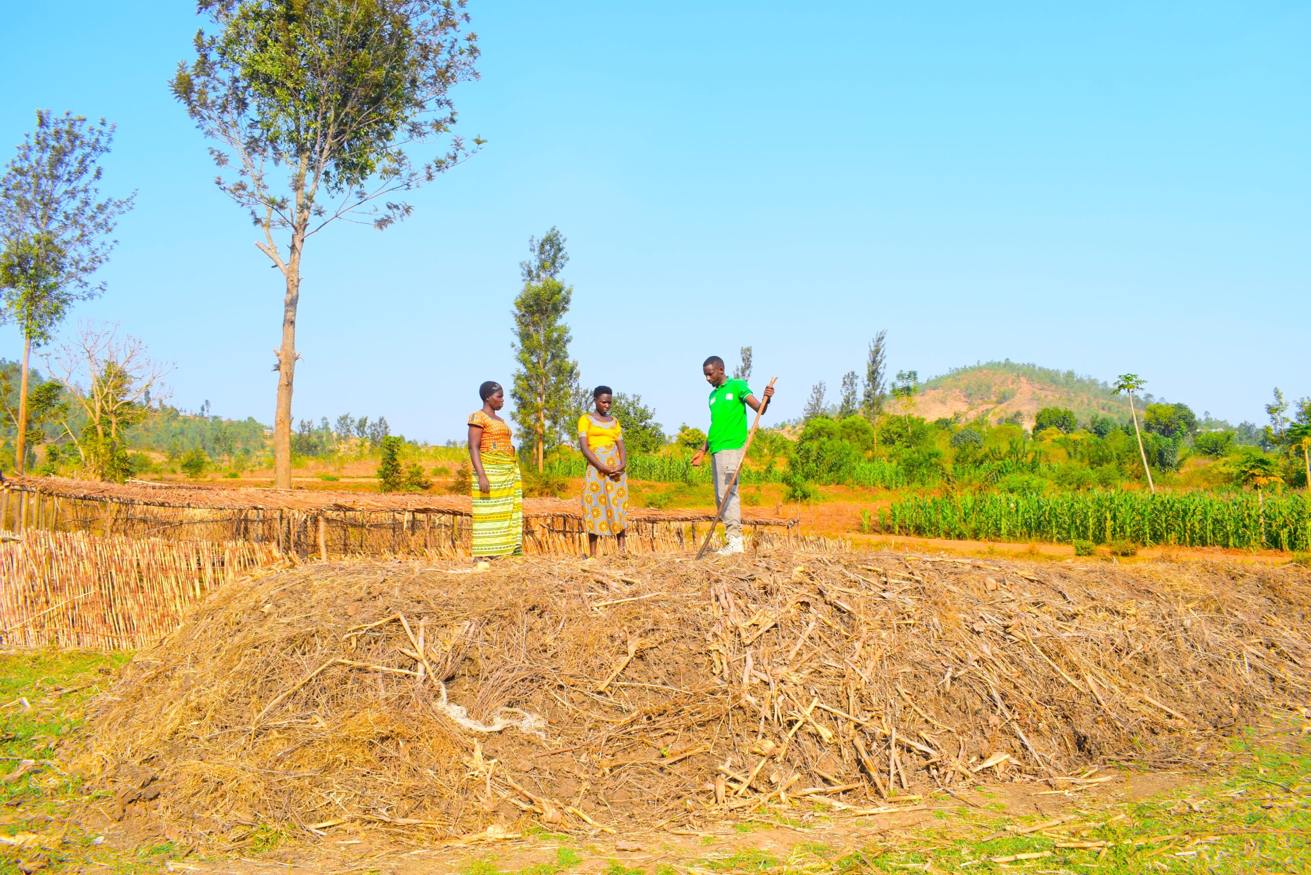 Two farmers mixing organic materials to make compost on a smallholder farm.
