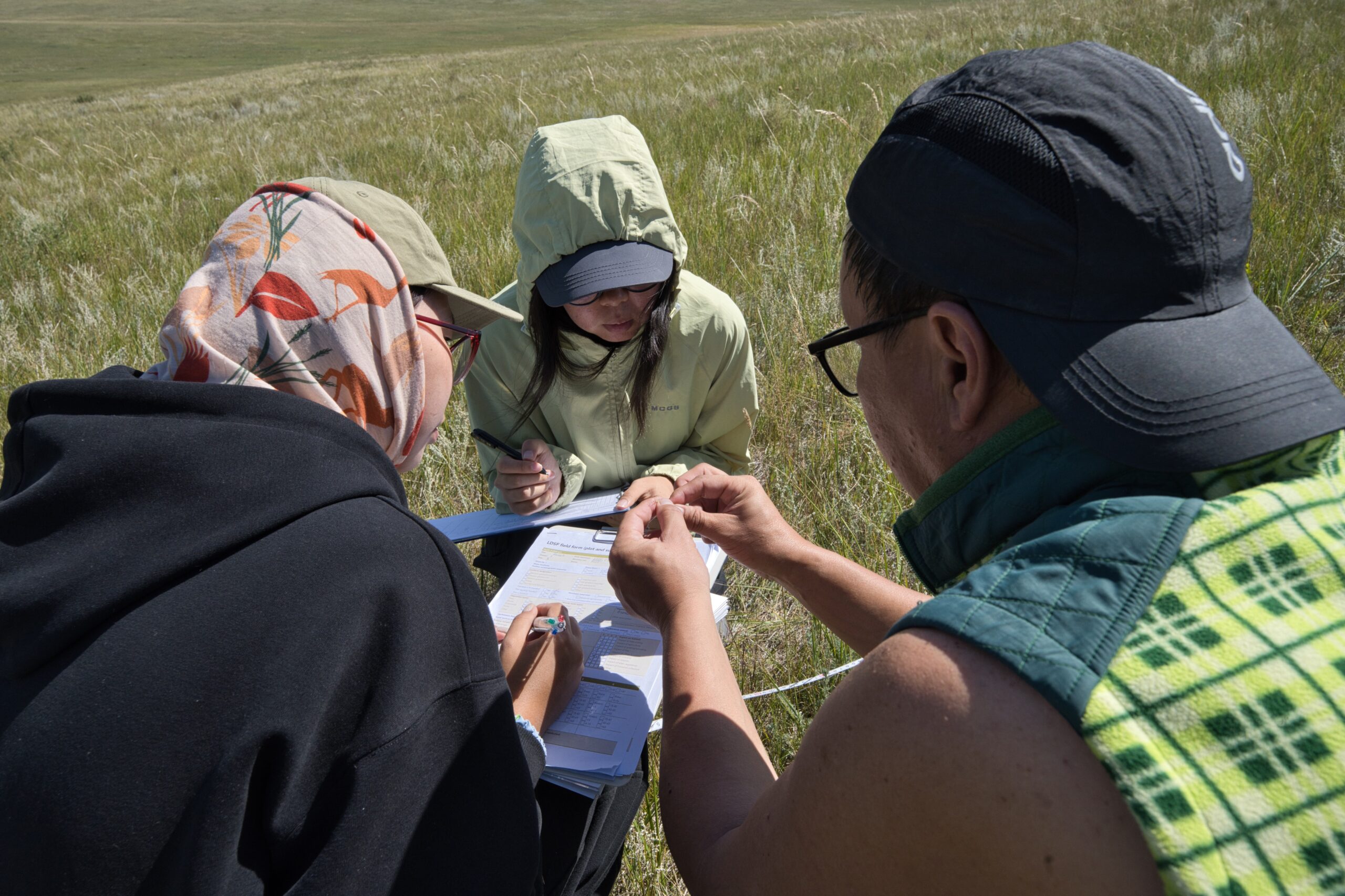 A botanist and two students examine and record grass species in a field plot in Mongolia.