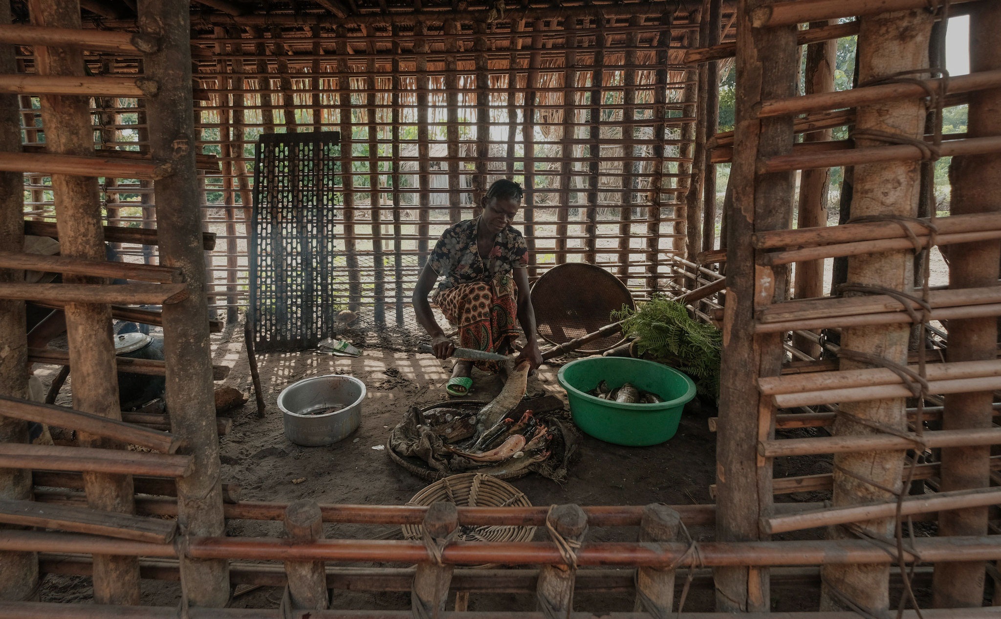 When taking meat off the menu is not an option: Fighting malnutrition in Congo Basin forests