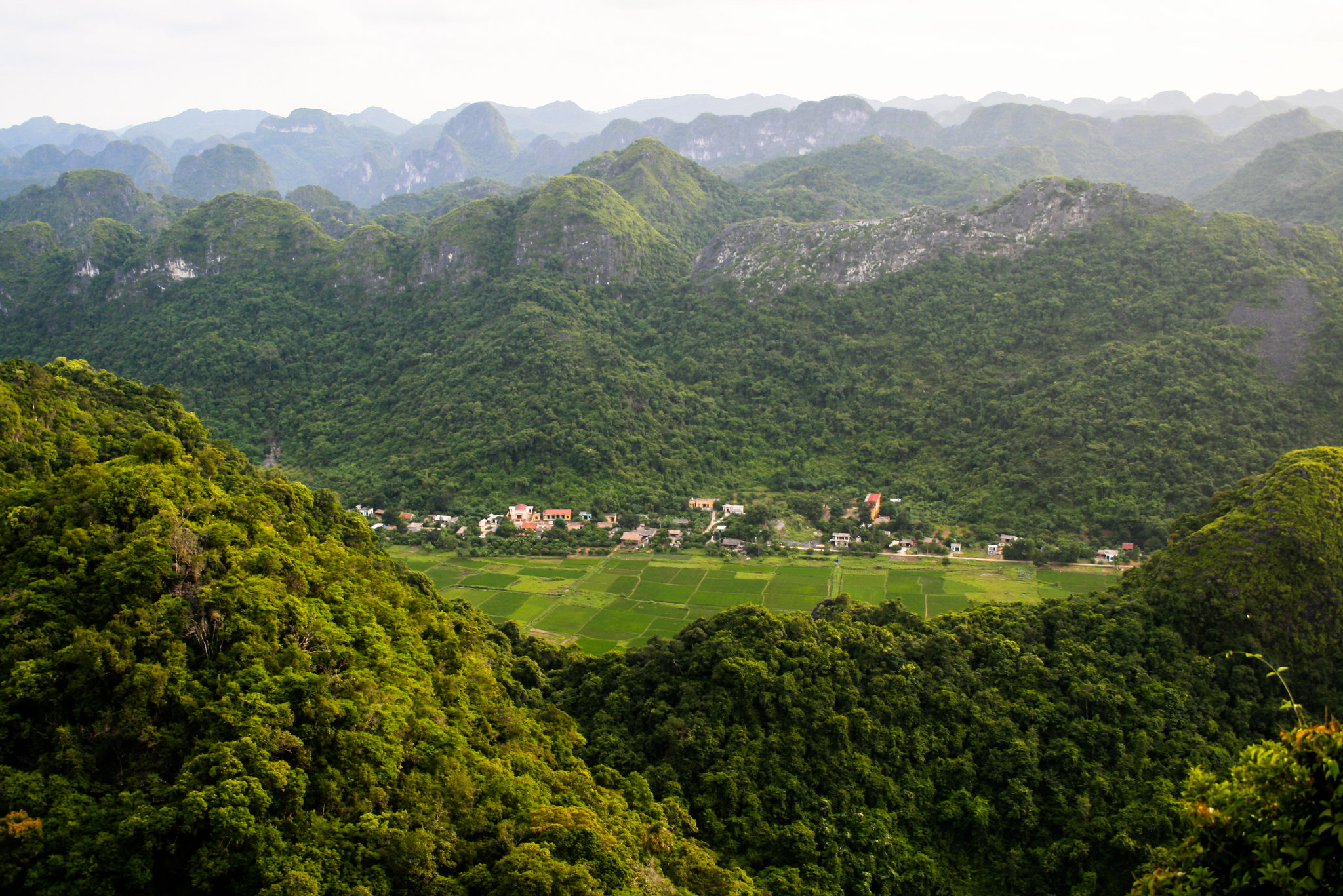 Aerial view of forest-covered limestone mountains surrounding a village and green agricultural fields in a valley in Viet Nam.