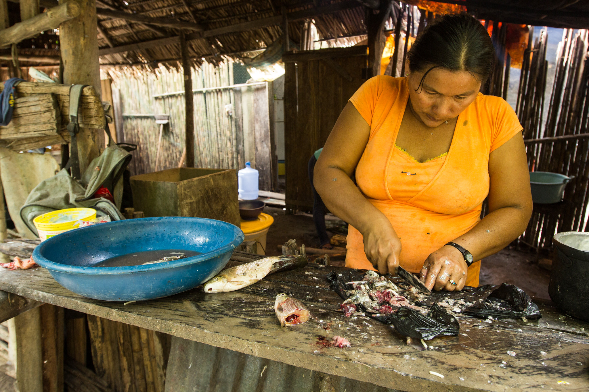 A woman wearing an orange shirt cleans fish on a wooden table inside a traditional wooden shelter, with a blue basin beside her.
