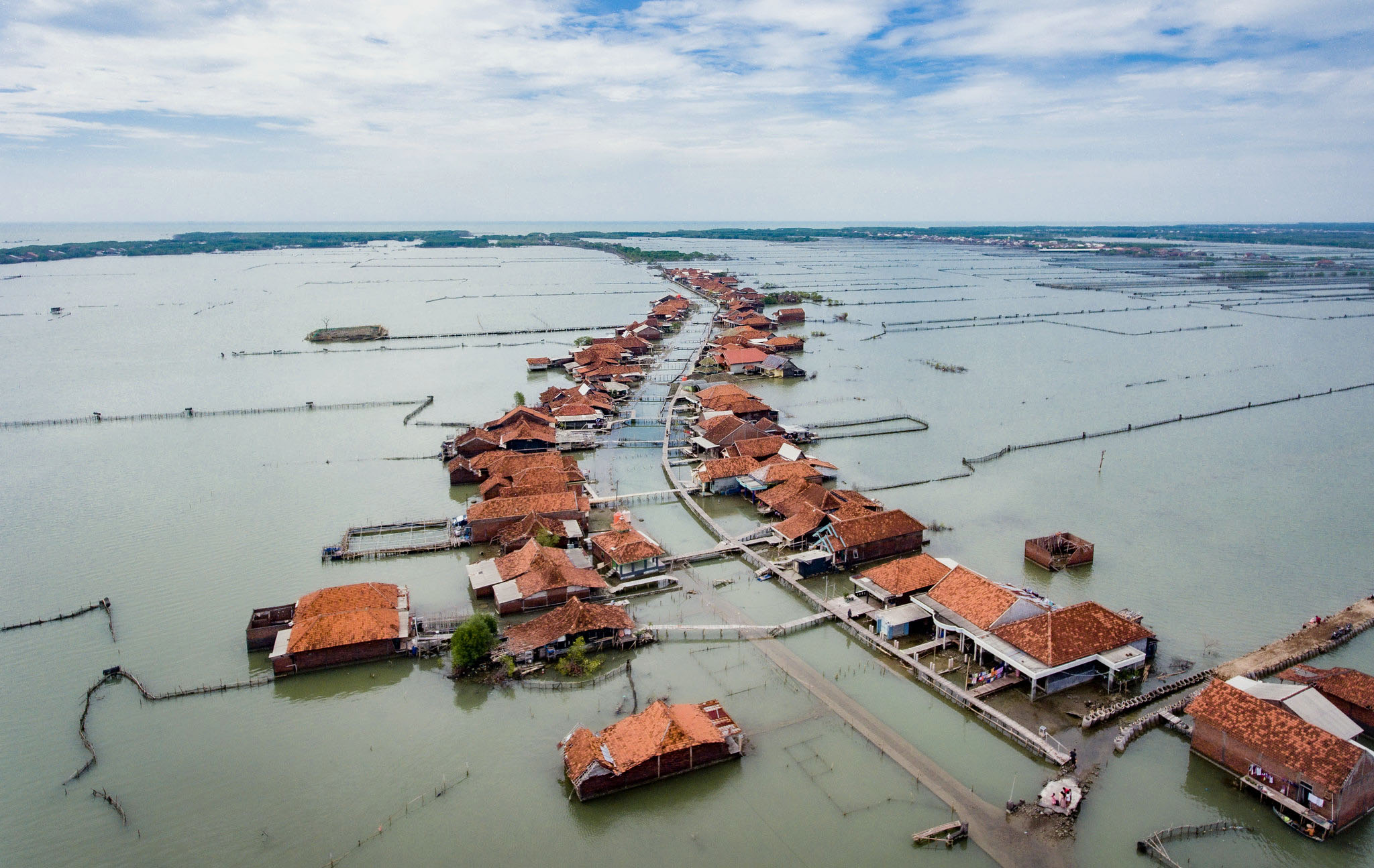 Tenggelam, Bergeser, atau Bertumbuh? Memulihkan Mangrove di Kawasan Permukiman Pesisir yang Rentan