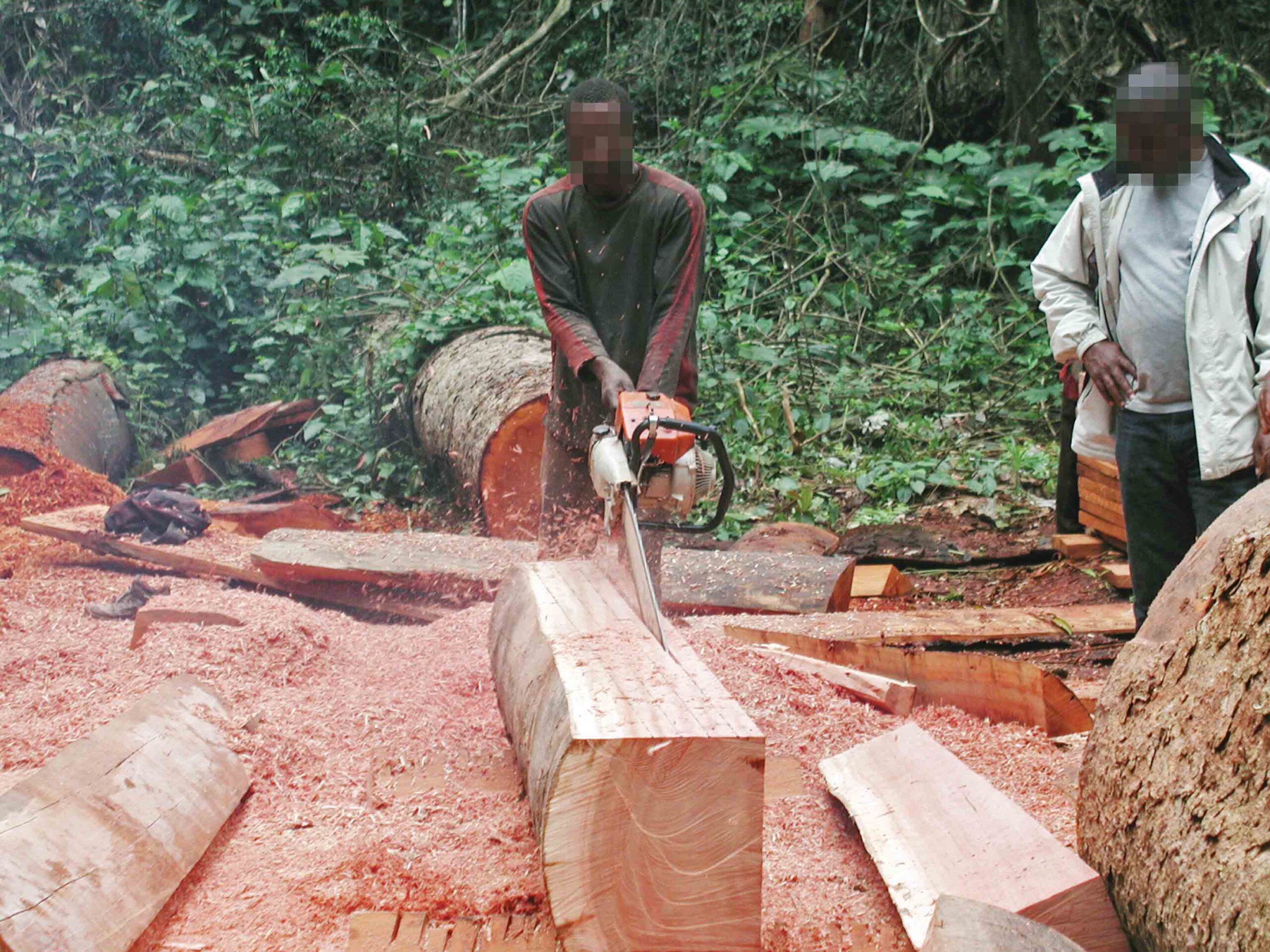 Menemukan dan menciptakan sejarah di hutan berawan Papua Nugini