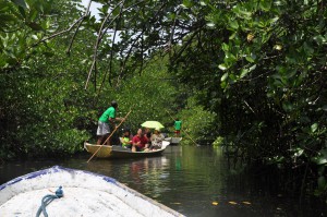 Penelitian Sosial Penting untuk Melestarikan Praktek Konservasi Masyarakat