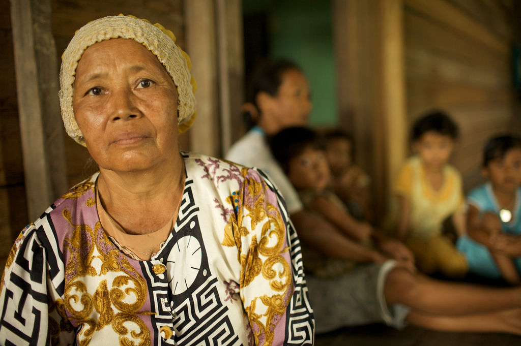 Bosques secos tropicales: ¿Qué está causando su acelerado colapso?