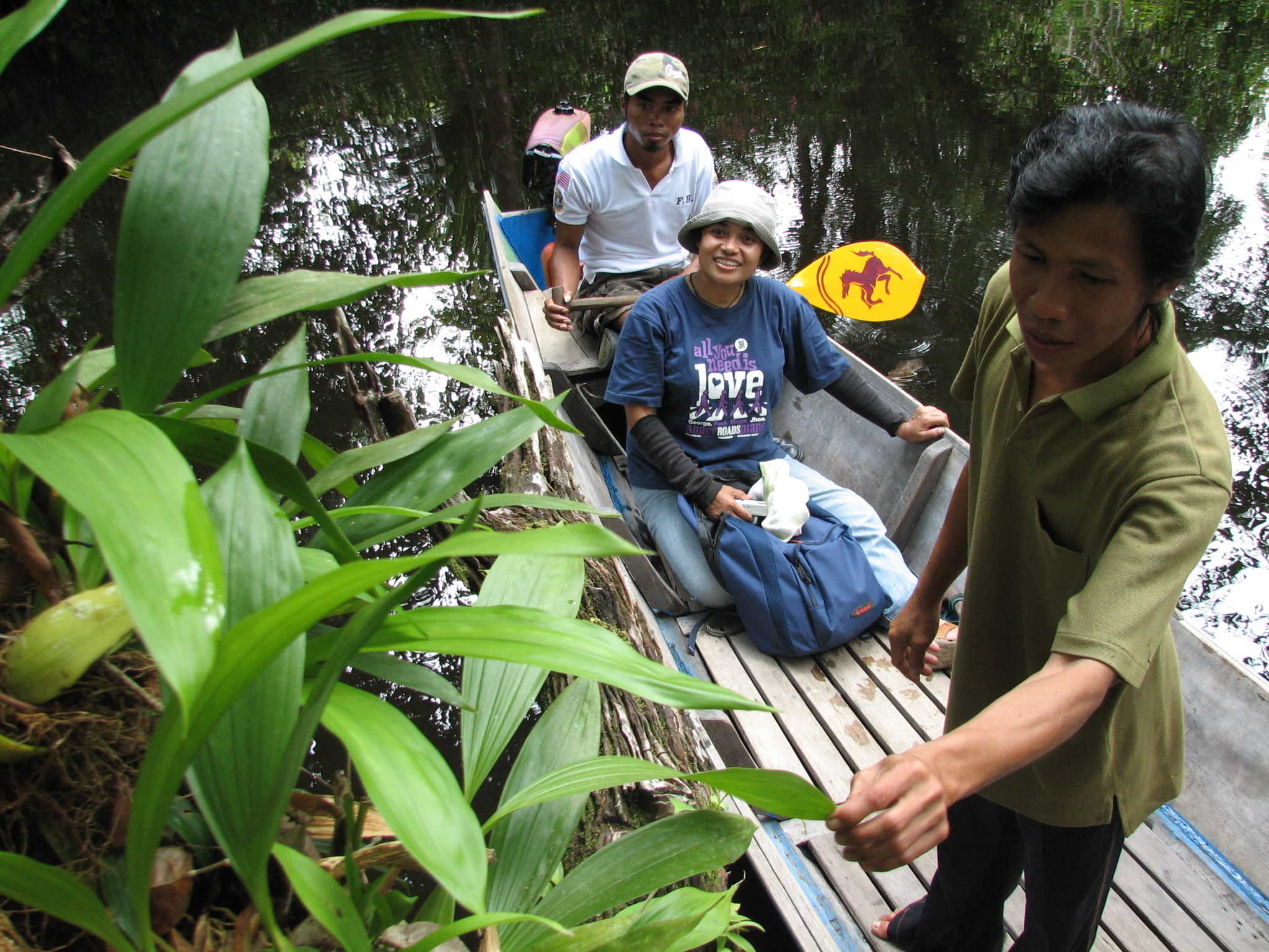 Héroïsme et hypocrisie : sanctions par les pairs et utilisation responsable des forêts