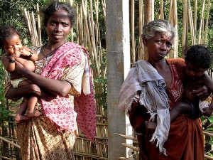 En el manejo de los bosques, el género importa