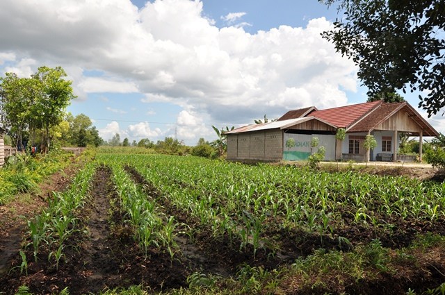 Tanpa bukti nyata, masyarakat sulit diharapkan untuk peduli dengan REDD+: Jurnalis