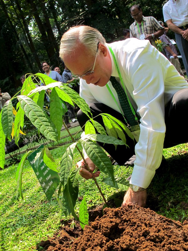 LSM perlu berkonsolidasi untuk memperkuat penyebaran informasi REDD+