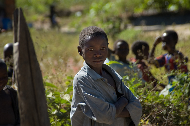 Biofuel standards need improvement to protect rainforests