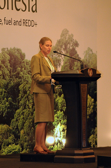 Kata sambutan dari Frances Seymour, Direktur Jenderal Center for International Forestry Research