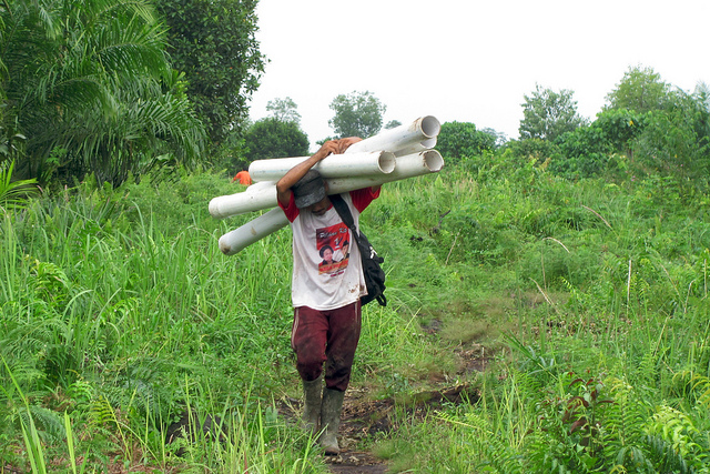 Smallholder farmers risk being forgotten in sustainable biofuels race